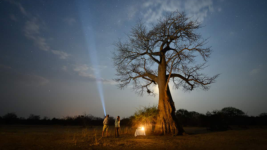 Star gazing in South Luangwa National Park